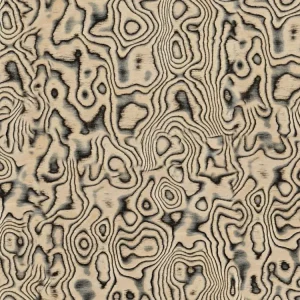 Licorice Burl