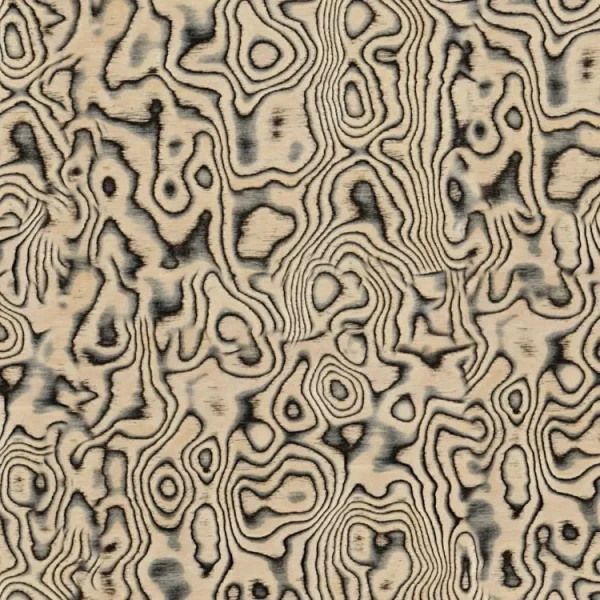 Licorice Burl