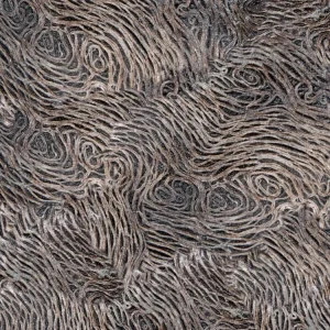 Curly Wood 23