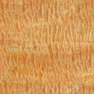 Curly Maple Woodgrain 23