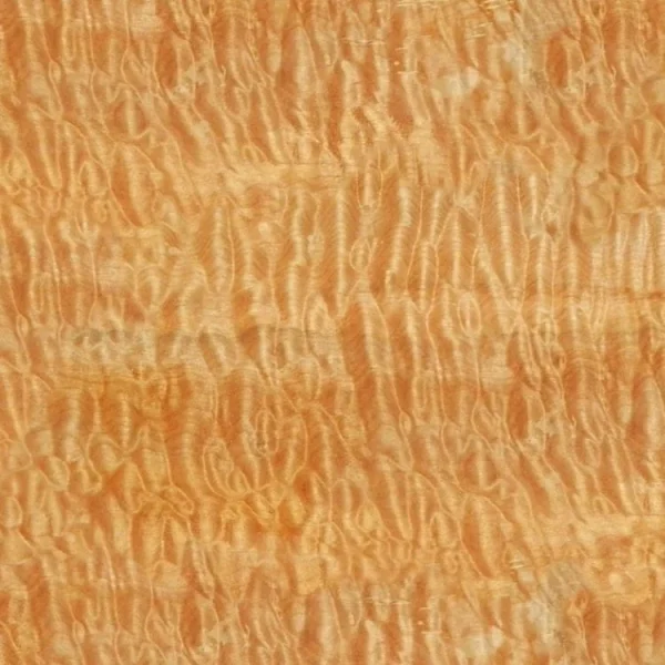 Curly Maple Woodgrain 23