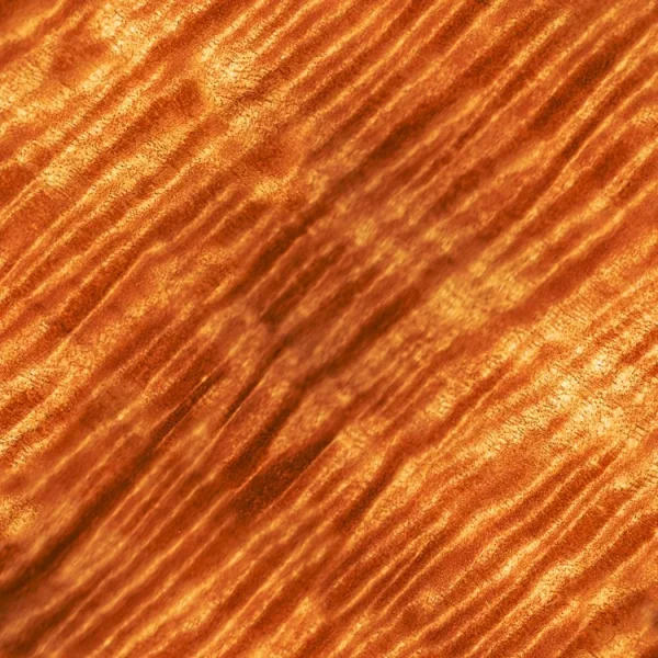 Curly Maple Wood Grain 25
