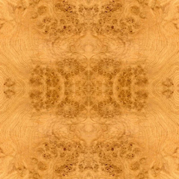 Booked Burl Maple