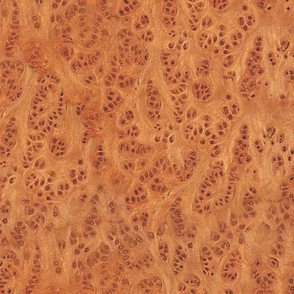 Vavone Burl