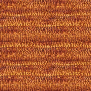 Snakewood 23