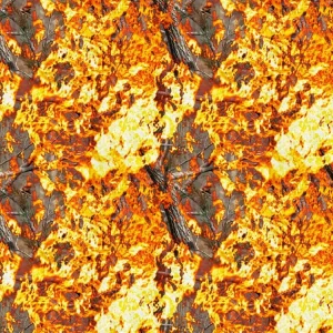 Burning Wood 26