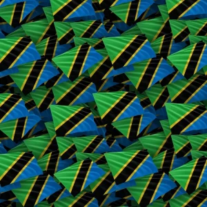 Tanzania Flag