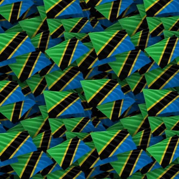 Tanzania Flag