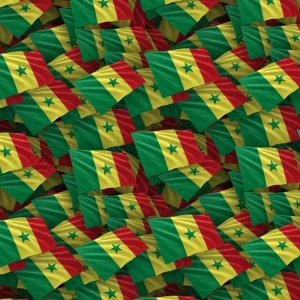 Senegal Flag