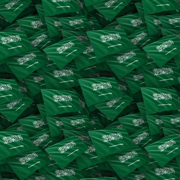 Saudi Arabia Flag
