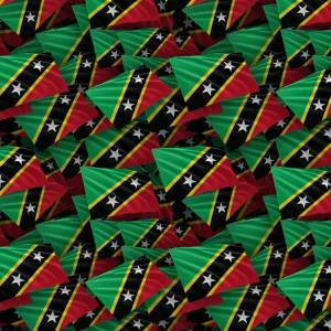 Saint Kitts & Nevis Flag