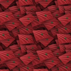 Morocco Flag