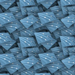 Micronesia Flag