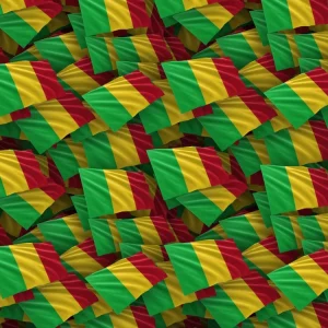 Mali Flag