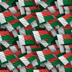 Madagascar Flag