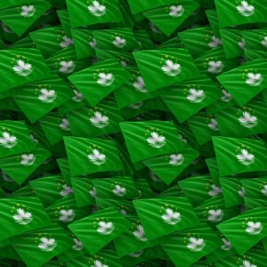 Macau Flag