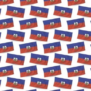 Haitian Flag 23