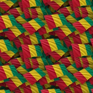 Guinea Flag