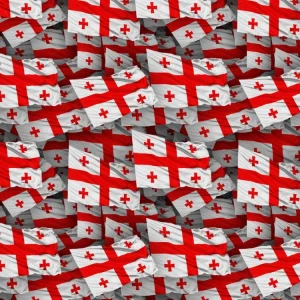 Georgia Flag