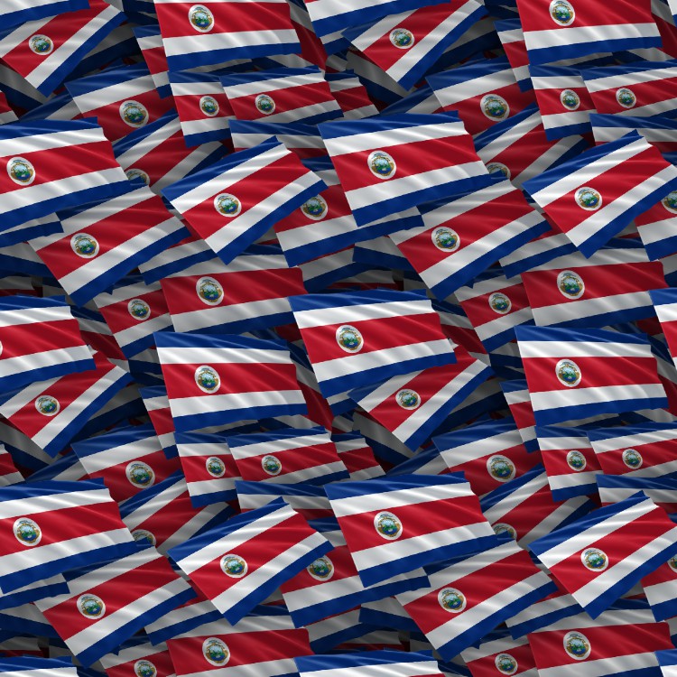 Costa Rica Flag Pattern Crew