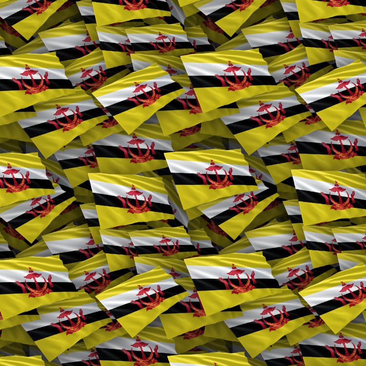 Brunei Flag Pattern Crew Brunei Flag Pattern Crew