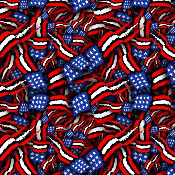 American Flag Seperated