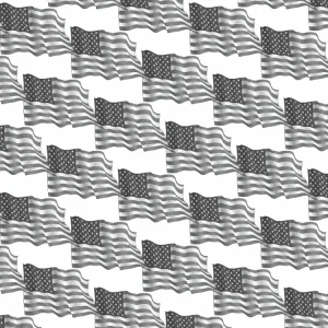 American Flag 22