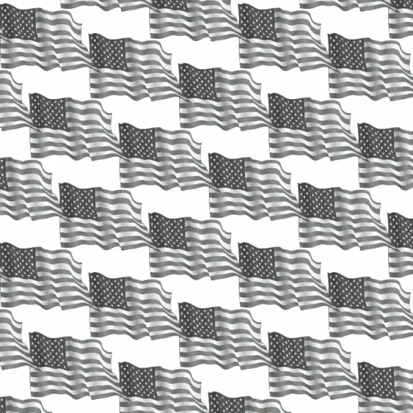 American Flag 22