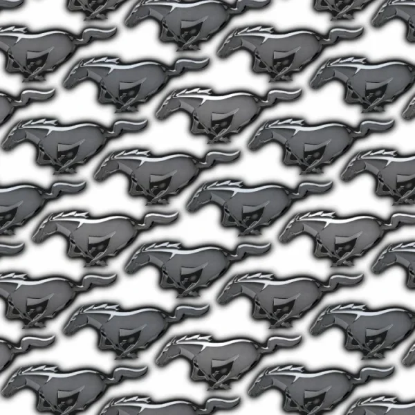 Mustangs 22