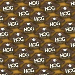 HOG 24