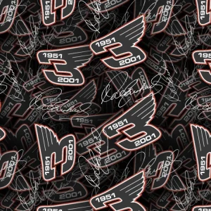 Earnhardt Wings