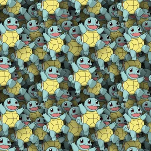 Pokemon Squirtle 25