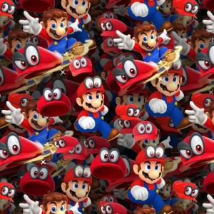 Mario Odyssey 24