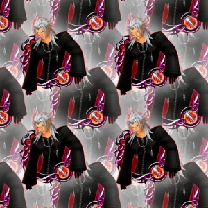 Kingdom Hearts Xemnas 23