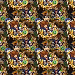Kingdom Hearts The Gang 24