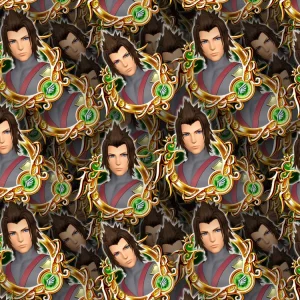 Kingdom Hearts Terra 24