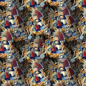 Kingdom Hearts Sora 22