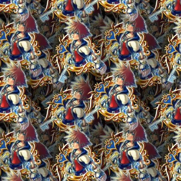 Kingdom Hearts Sora 22