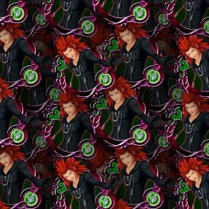 Kingdom Hearts Axel 23