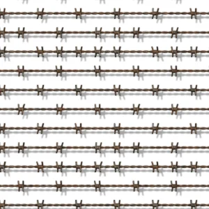 Rusty Barbed Wire 23