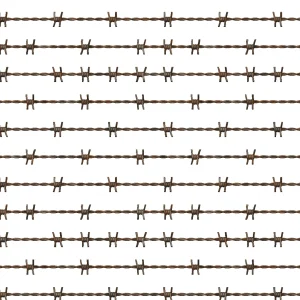 Rusty Barbed Wire 11