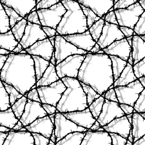 Barbed Wire 23