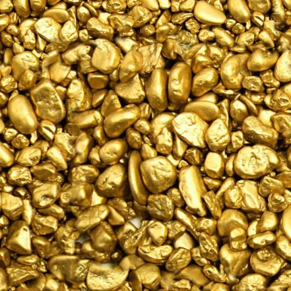 Gold Nuggets 22