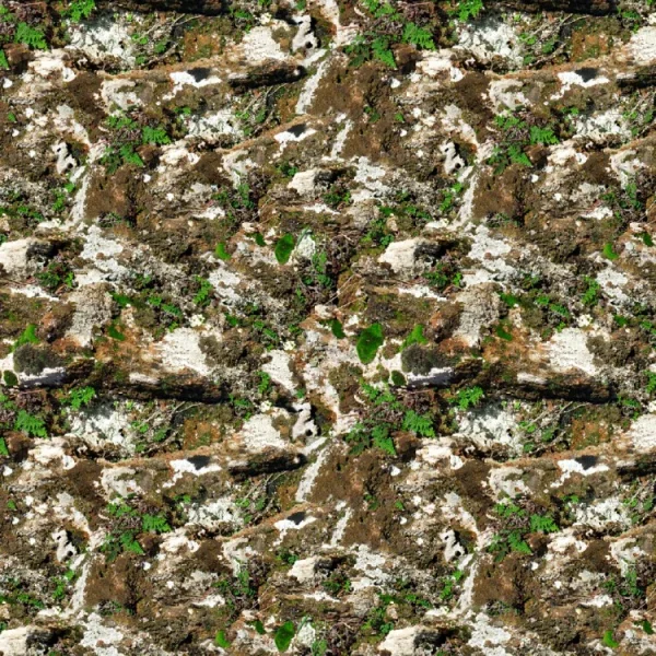 Stone Wall 26