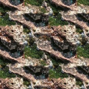 Stone Wall 25