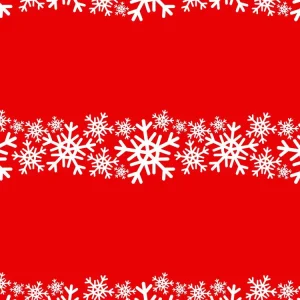Snowflakes 29
