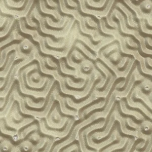 Sand Ripples