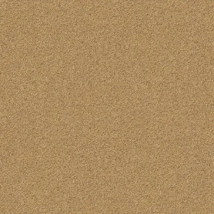 Sand 22