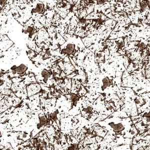 Mud Splatter 22