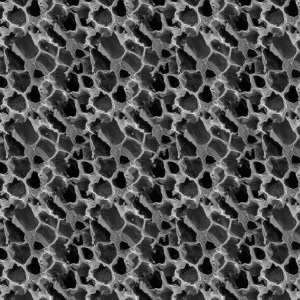 Marrow Under the Microscope 21